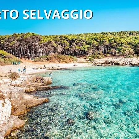 Delfino - Ampio A 40 Metri Dalla *
